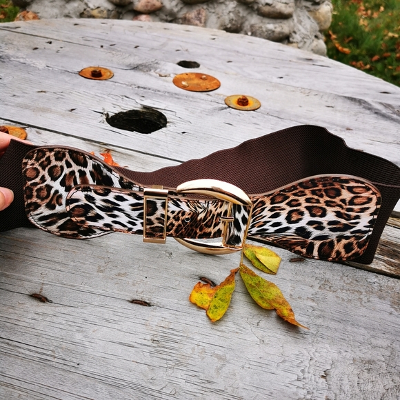 Ardene Spain Faux Leather Leopard Print Brown Stretch Gold Buckle Belt - Picture 7 of 16